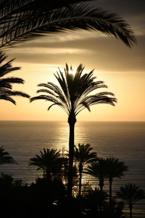 Ausblick R2 Rio Calma Hotel & Spa & Conference