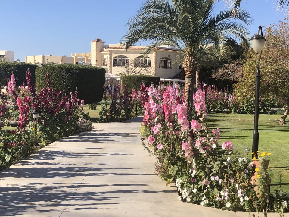 Gartenanlage Brayka Bay Resort