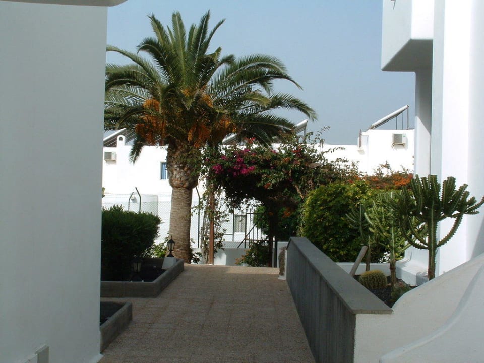 Bepflanzung Hotel Floresta