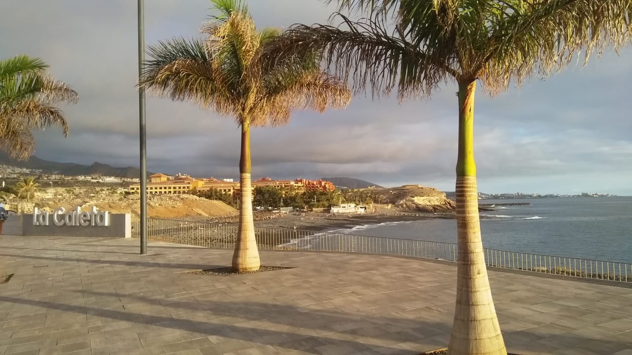 Sonstiges HOVIMA Jardin Caleta