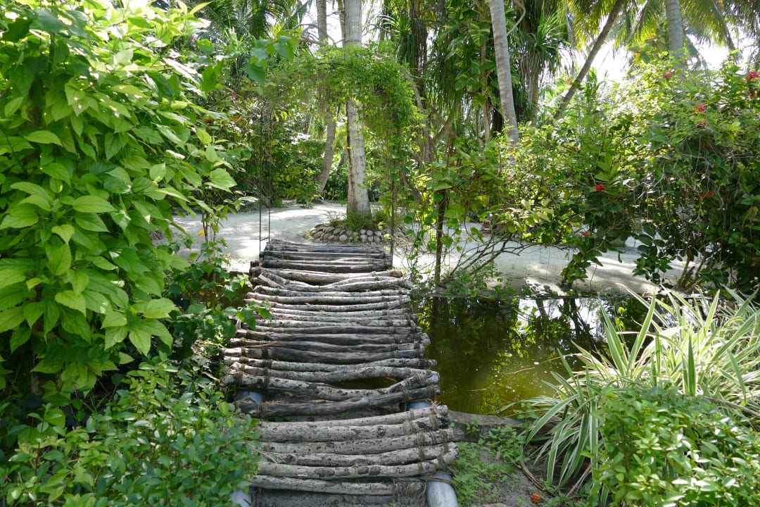 Gartenanlage Adaaran Select Meedhupparu Island Resort - Premium All Inclusive