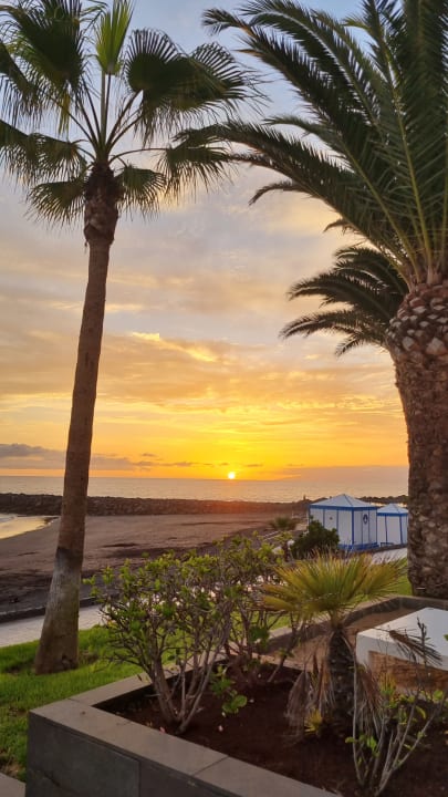 Gartenanlage Hotel Riu Palace Tenerife