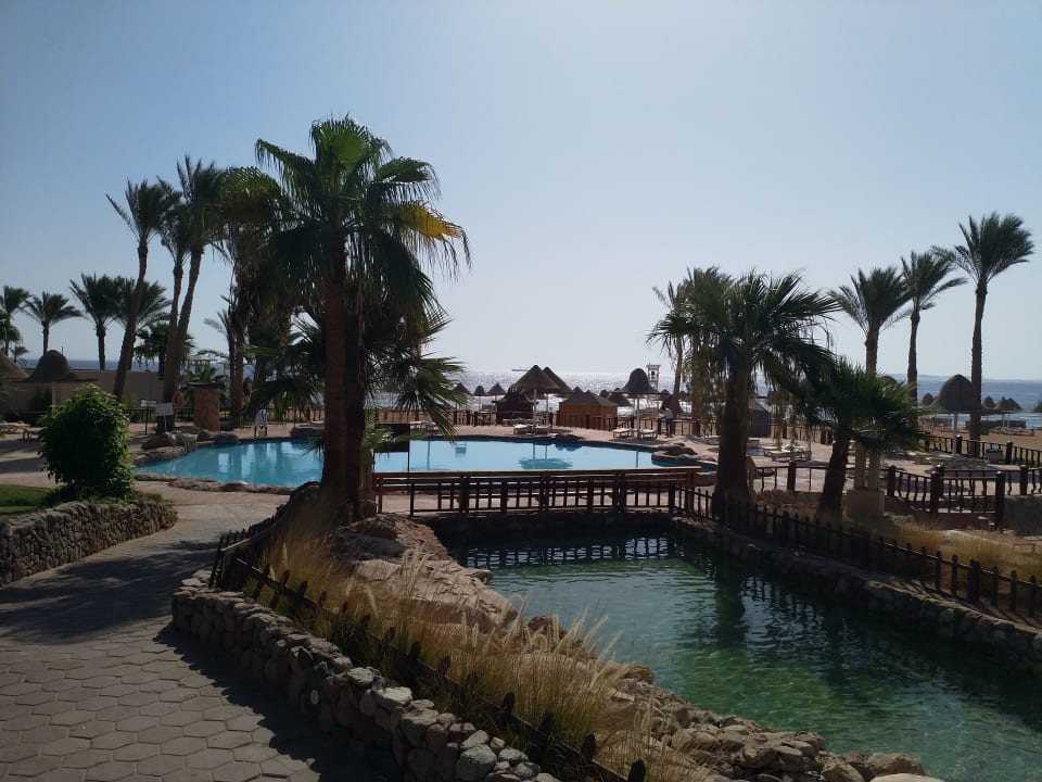 Pool Parrotel Beach Resort