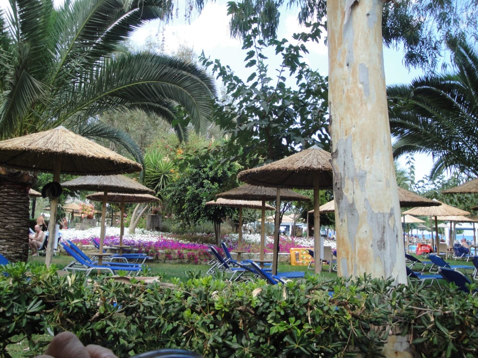 Liegewiese am Pool Hotel Corissia Princess