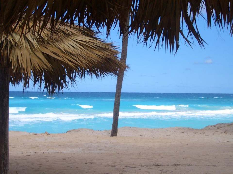 Das ist der schöne Strandblick! Hotel Gran Caribe Club Kawama