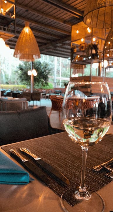 Gastro Arum Barut Collection