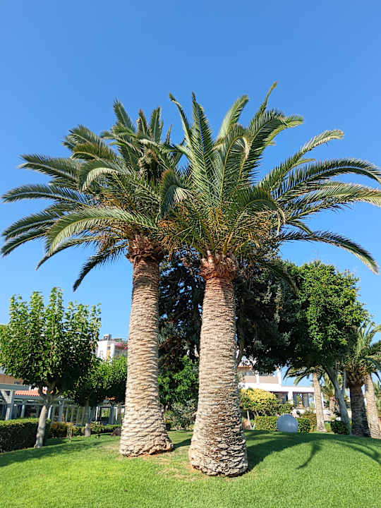 Gartenanlage Anissa Beach & Village