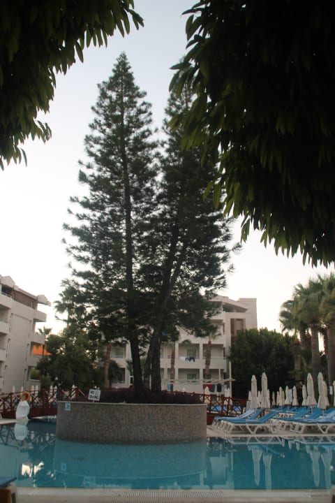 Ausblick Calimera Side Resort