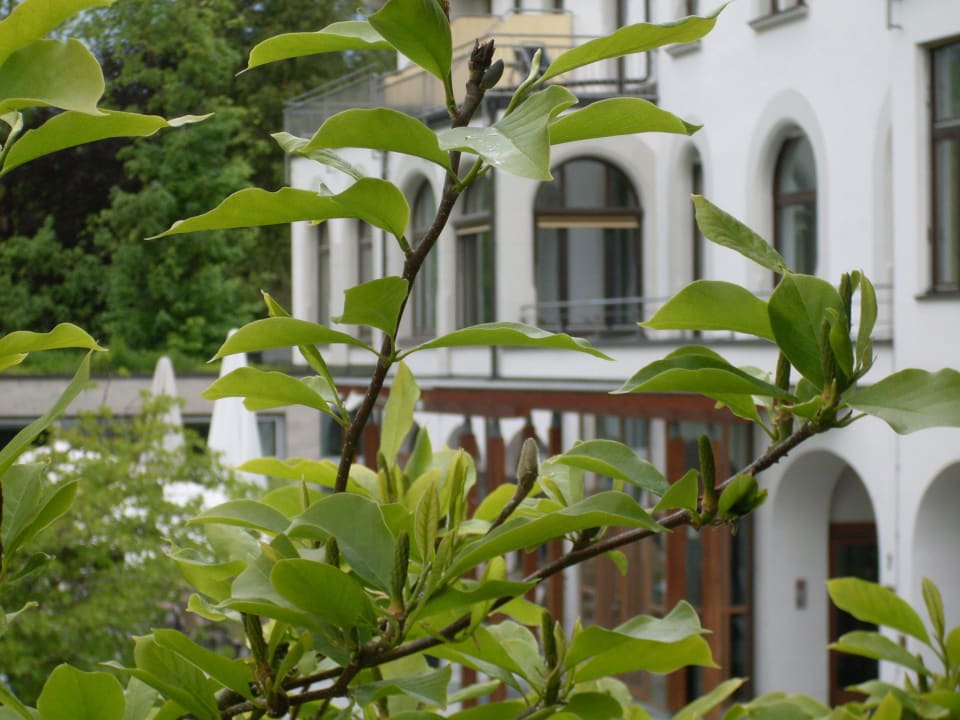 Richtung - Hoteleingang Parkhotel Jordanbad