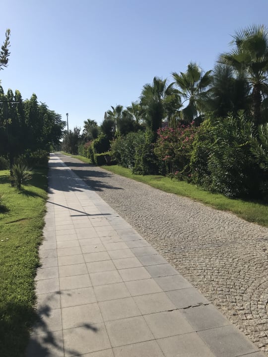 Gartenanlage Dream World Aqua Hotel