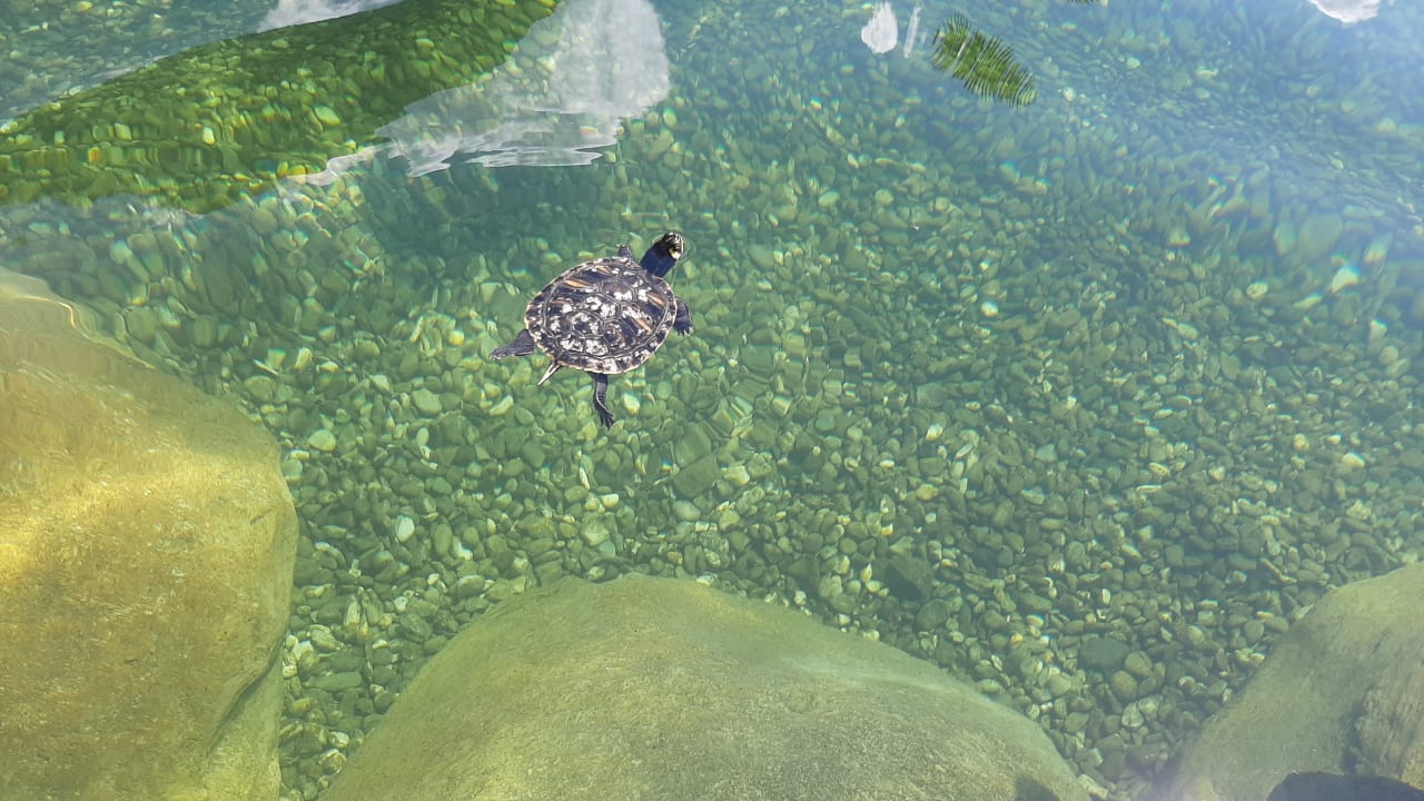 Gartenanlage Quellenhof Luxury Resort Passeier