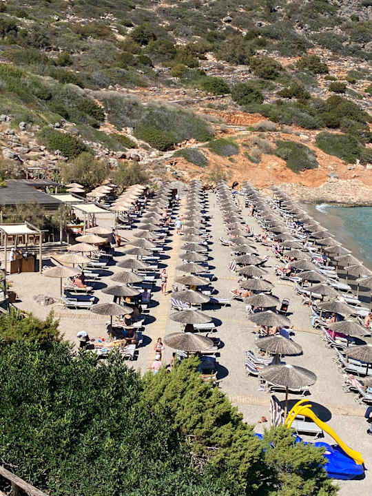 Strand DAIOS COVE
