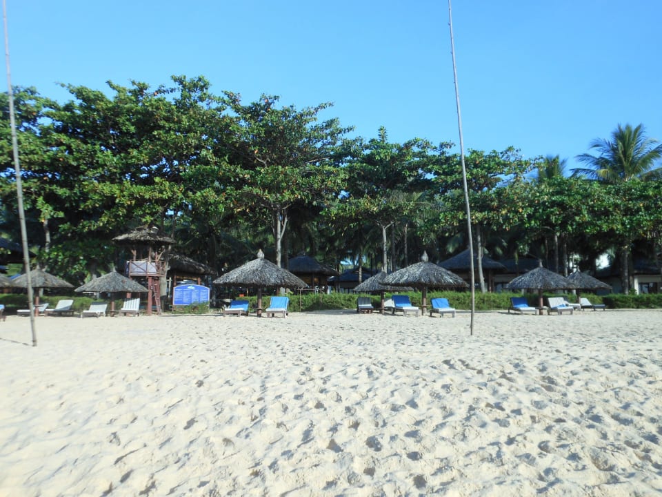 Strand mit Liegen Hotel Blue Ocean Resort