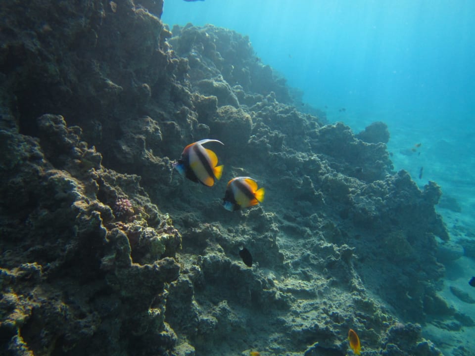 Sport & Freizeit Lido Sharm Hotel