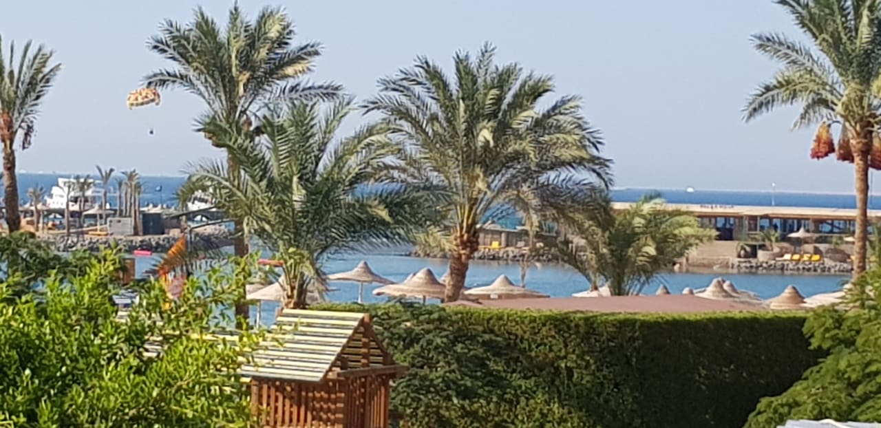 Ausblick Desert Rose