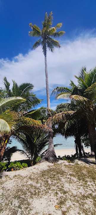 Gartenanlage Hotel Matamanoa Island Resort