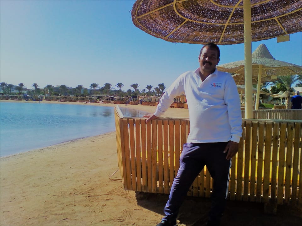 Sonstiges Desert Rose