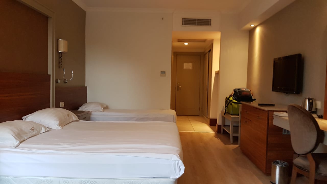 Zimmer Well Palace Side