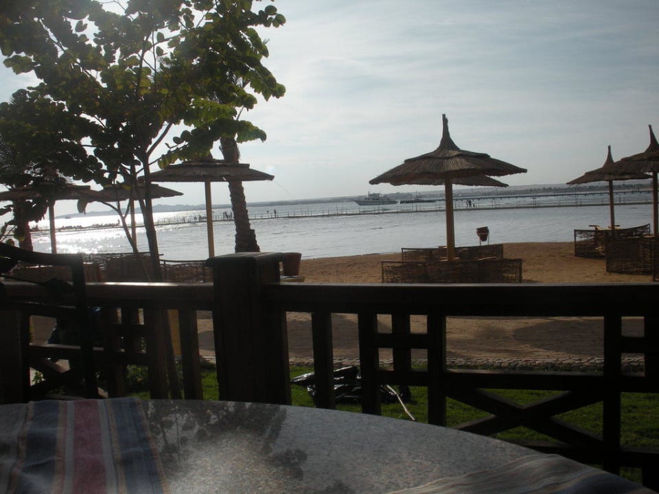 Beim Essen Blick aufs Meer Beach Albatros Resort