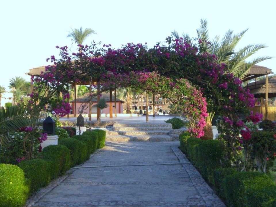 Blühender Garten Beach Albatros Resort