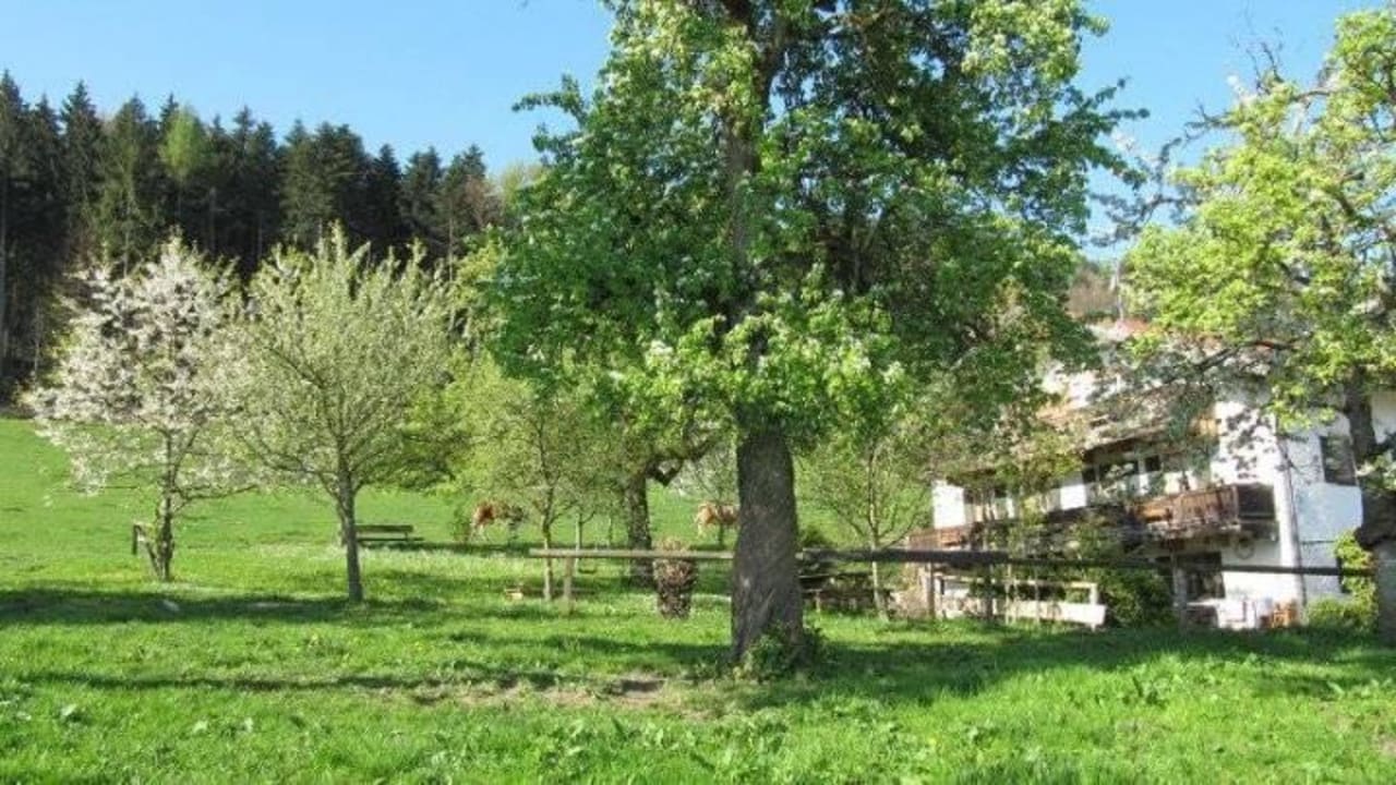 Ferienhaus im Frühling mit Obstblühte Ferienwohnungen Beim Berger