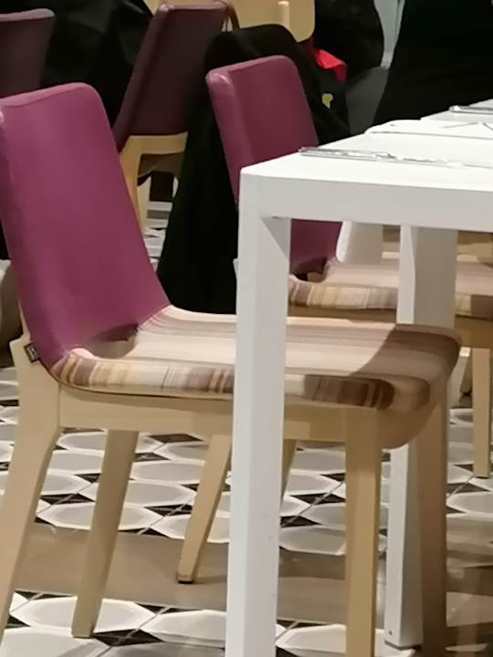 Gastro Acanthus Cennet Barut Collection