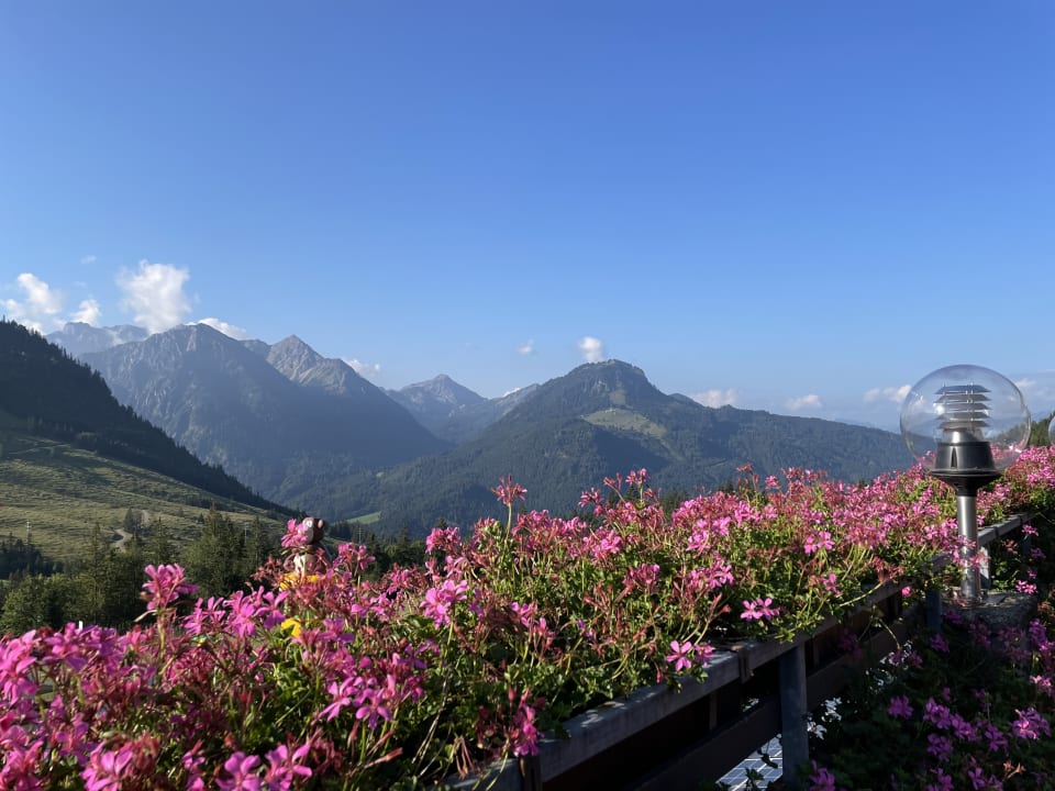 Ausblick Oberjoch - Familux Resort