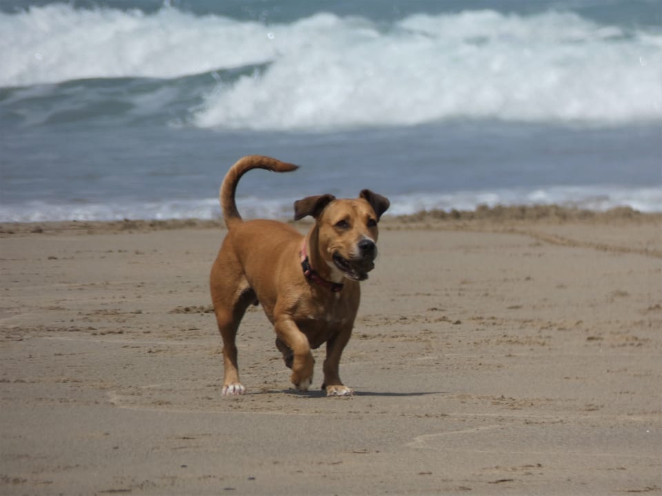 Strand Bakour Fuerteventura La Pared