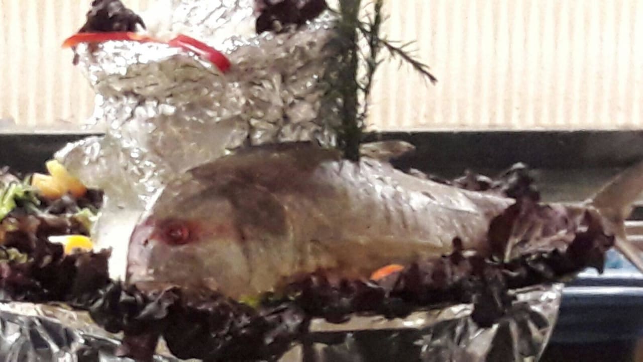 Fisch Pickalbatros Alf Leila Wa Leila Resort - Neverland Hurghada