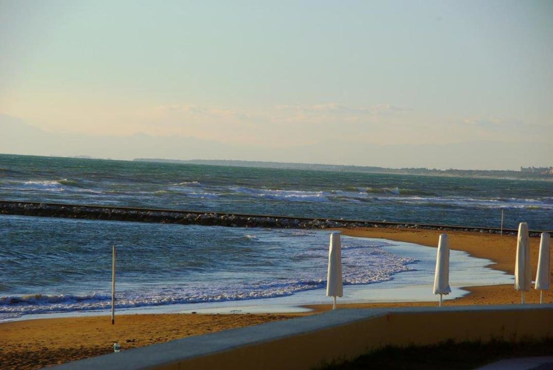 Stand 12.12.2011 Arum Barut Collection