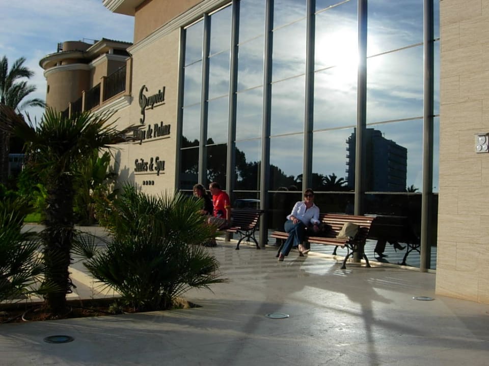 Silke kommt wieder! Und ich auch! Grupotel Playa de Palma Suites & Spa