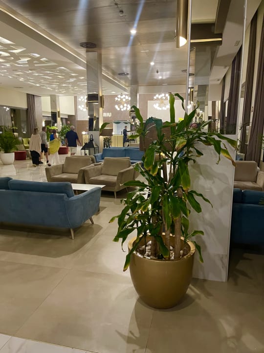 Gastro Hotel Riu Palace Boavista
