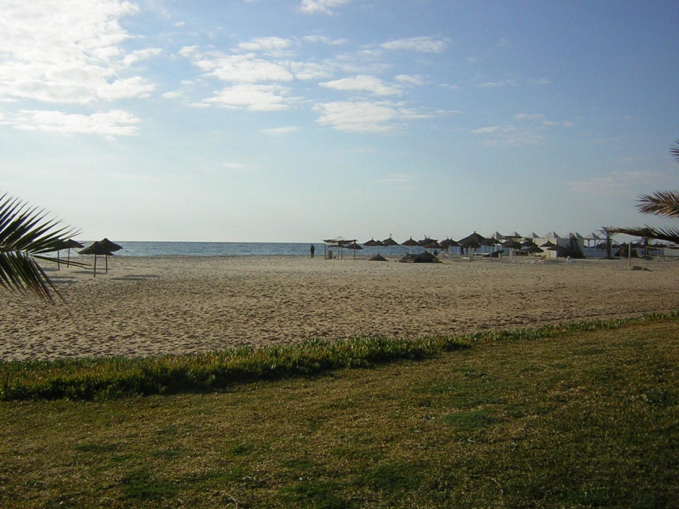 Auch im Winter gepflegter Strand Steigenberger Marhaba Thalasso Hammamet