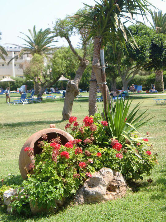 Gartenanlage Anissa Beach & Village