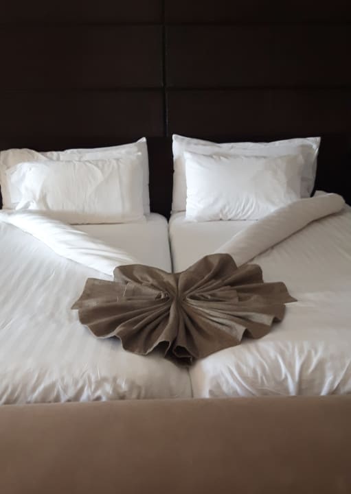 Immer wieder gerne Hotel Riu Palace Tikida Agadir