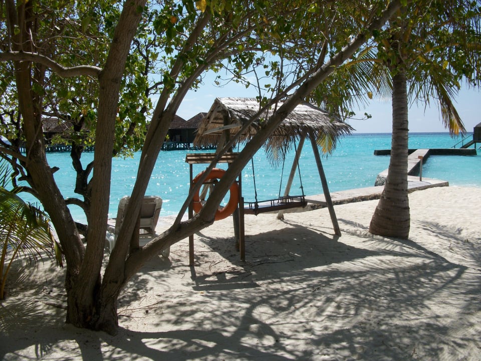 Hotel Veligandu Island Resort Veligandu Maldives Resort Island