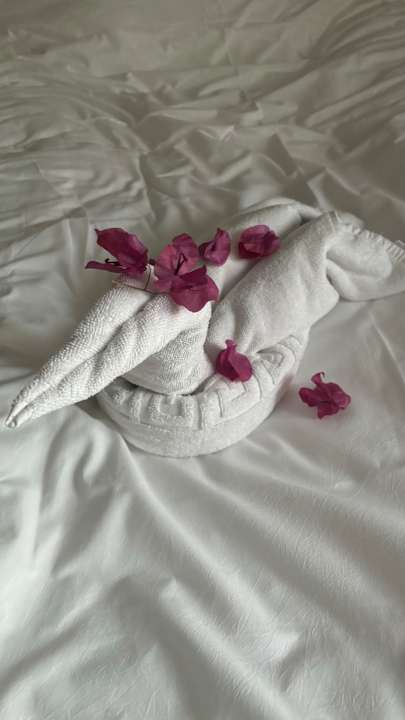 Zimmer Belek Beach Resort Hotel