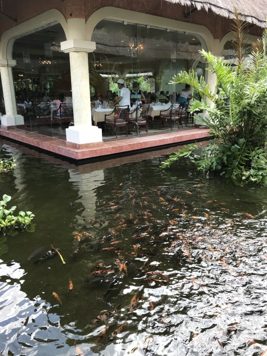 Sonstiges Grand Palladium Select White Sand Resort & Spa