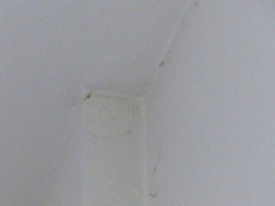 5 Tage nicht entfernte Spinnweben Hotel Xenia