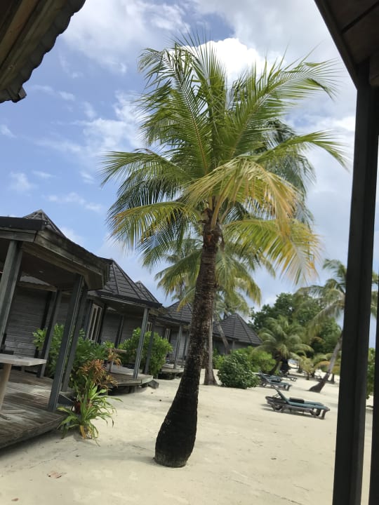 Ausblick Kuredu Island Resort & Spa