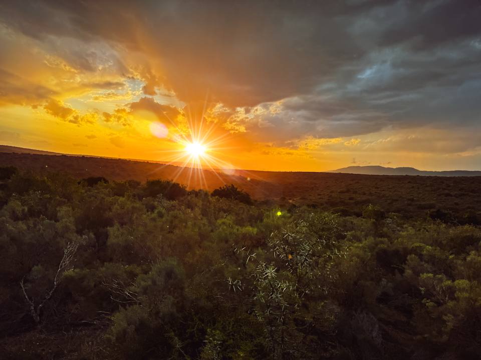 Sonstiges Hotel Pumba Private Game Reserve