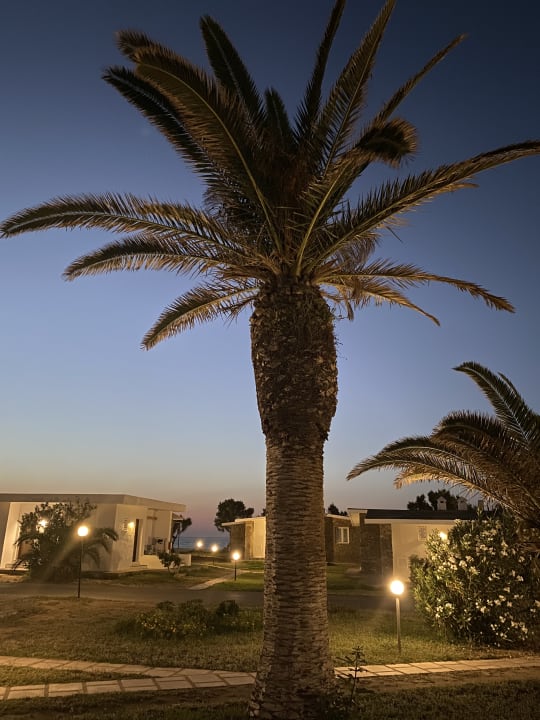 Gartenanlage Civitel Creta Beach