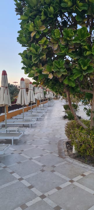 Gartenanlage Grand Waterworld Makadi