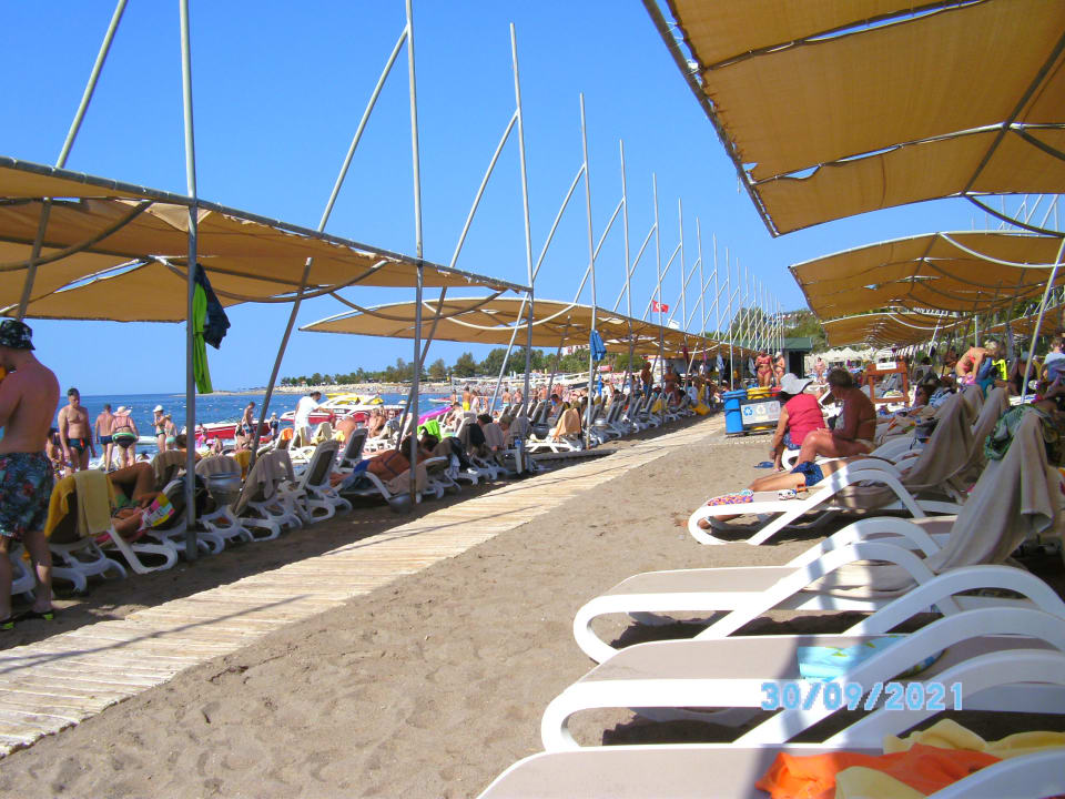 Strand Arycanda Kirman Premium