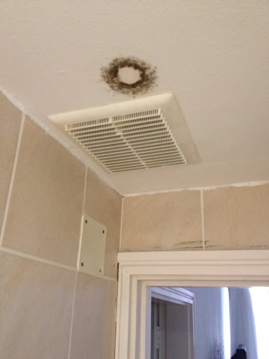 Schimmel an der Decke Sunny Village