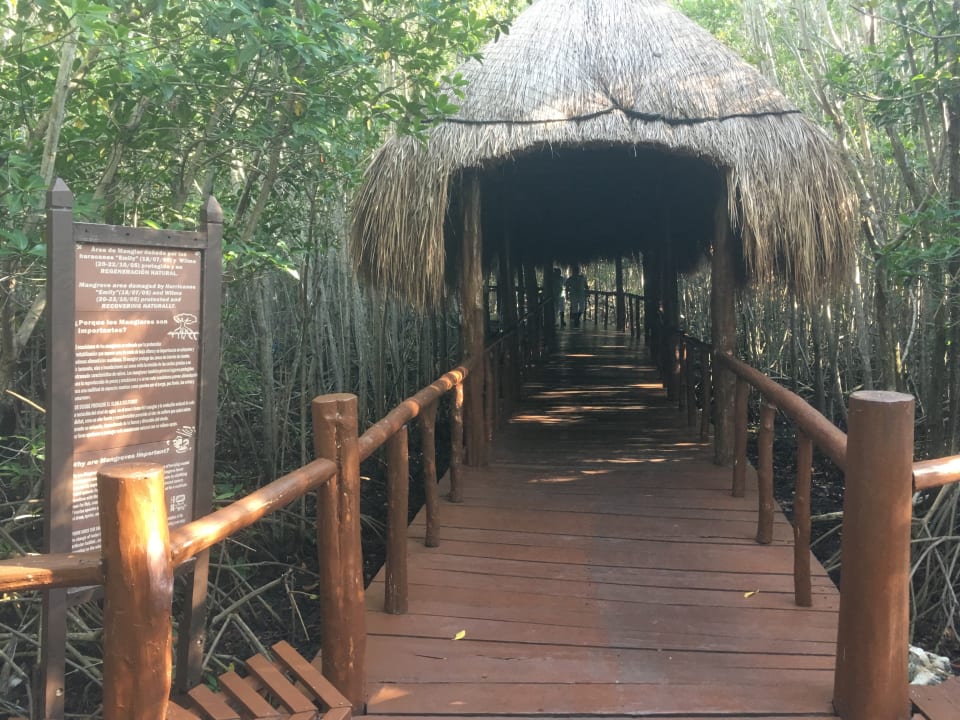 Gartenanlage TRS Yucatan Hotel - Adults only
