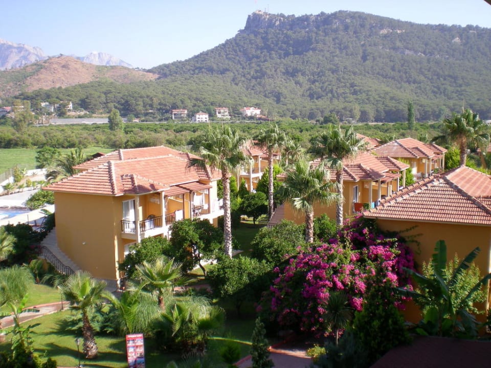 Niskie bungalowy w ogrodzie Hotel Seker Resort