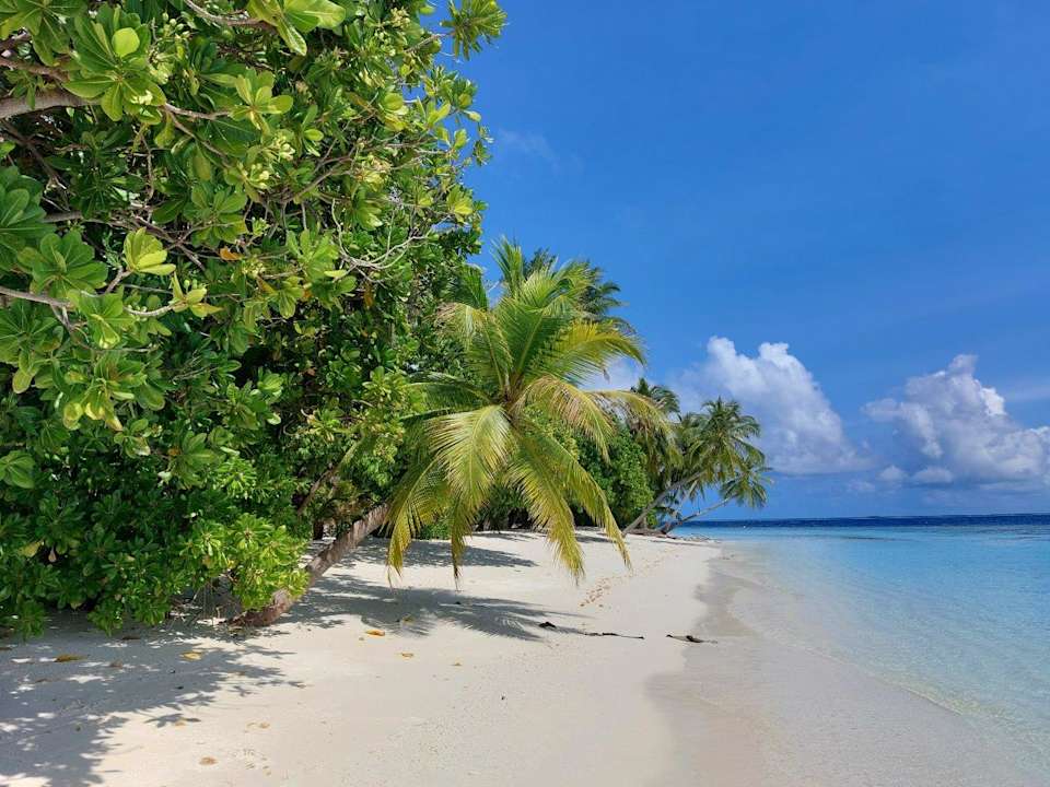 Außenansicht Vilamendhoo Island Resort & Spa