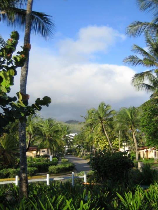 Gartenanlage Hotel Hesperia Playa el Aqua Beach