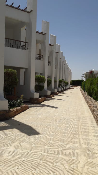 Zimmer Menaville Safaga